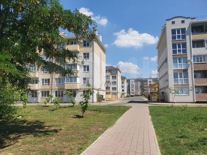 2-к. квартира, 56,2 м², 1/5 эт.