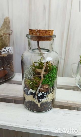 Моссариум. Флорариум с несколькими видами мха