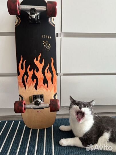 Круизер Лонгборд Globe Outsider