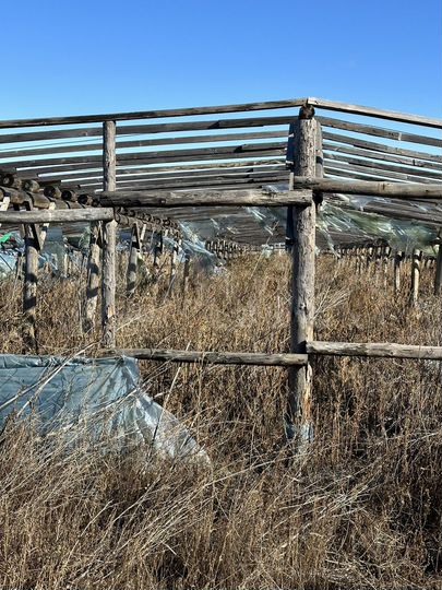 Участок 9 га (СНТ, ДНП)