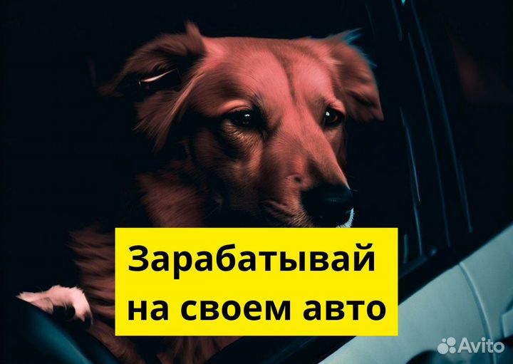 Яндекс Go: работай на своем т/с