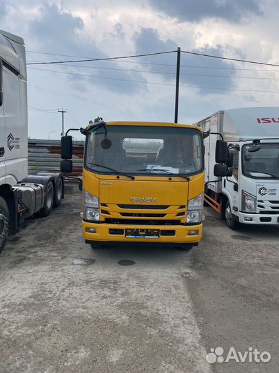 Isuzu Elf, 2024