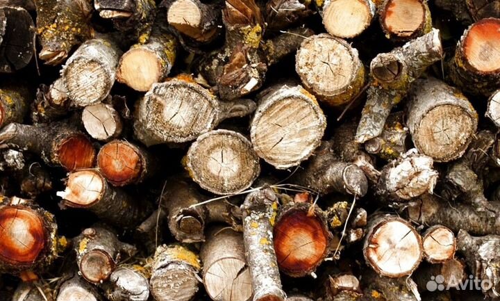 Дрова с Приморска
