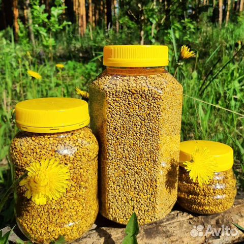Пыльца пчелинная (сбор 2023)