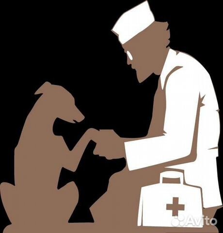 Ветеринарный врач