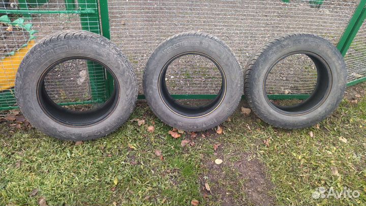 Vredestein IceTrac 195/65 R15