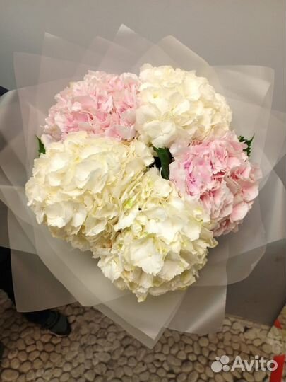 101 Роза букеты Цветы 51 доставка 24/7