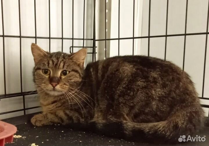 Мне очень нужен уютный дом