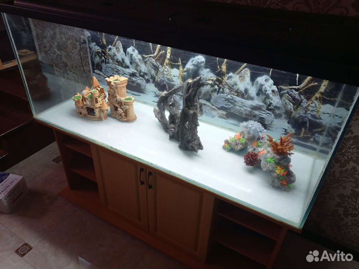 Аквариум
