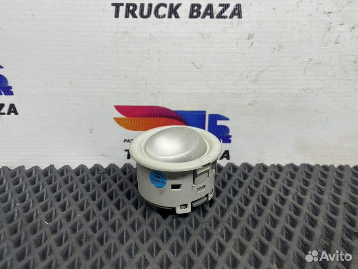 504195228 Плафон салонный Iveco Stralis