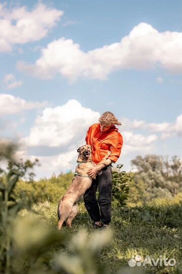 Миниатюрная Мия собака из приюта в добрые руки