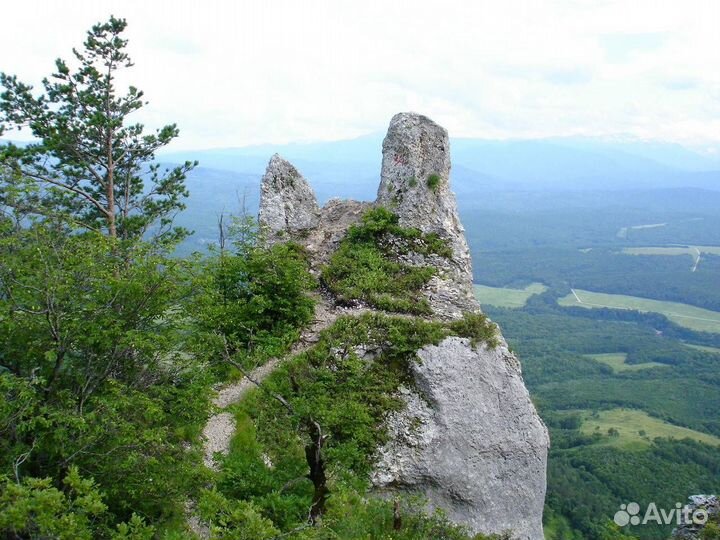 Межгород, море, горы от 1 до 7 человек. Аэропорт