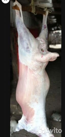 Мясо баранина свежая вкусное