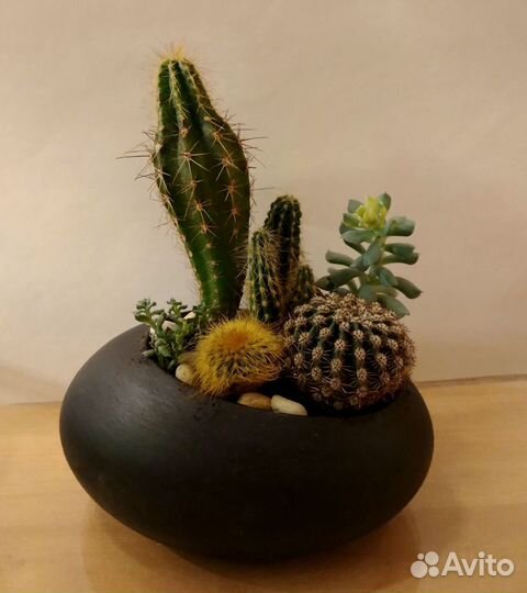 Мини - садик