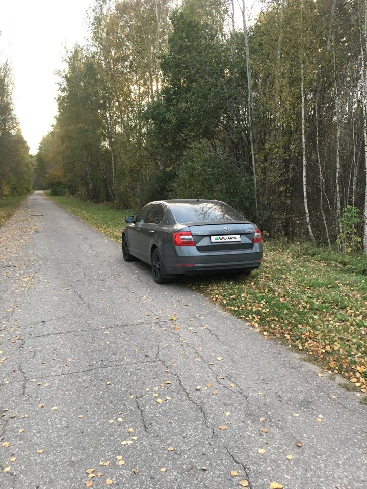 Skoda Octavia: фото владельца
