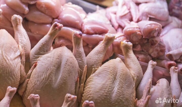 Мясо/Курица/Индейка нск