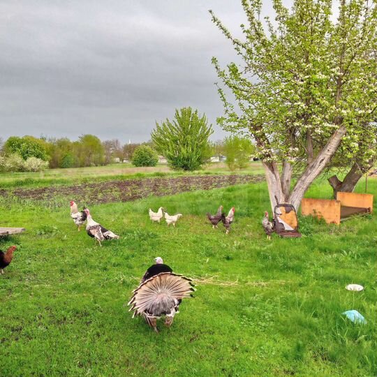 Дом 69,7 м² на участке 20 сот.