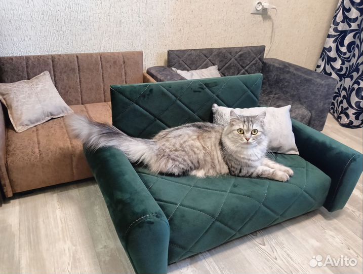 Диван лежак для животных, собак, кошек