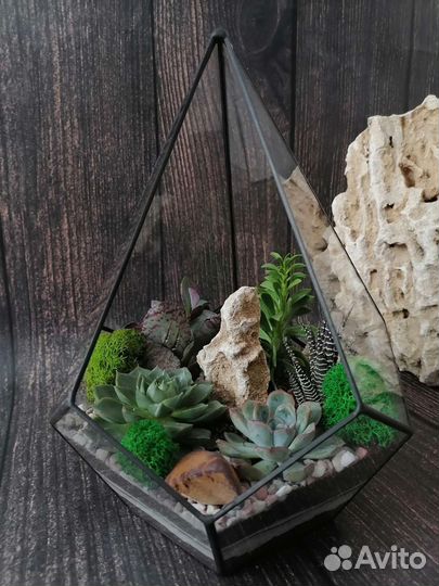 Флорариумы и моссариумы на заказ