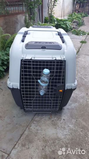 Для крупных собак на колесах