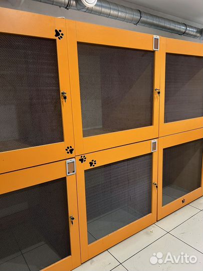 Ящики для передержки животных