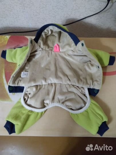 Одежда для щенка