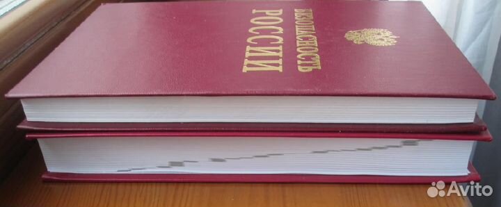 Безопасность России. Англо-русский словарь-справоч