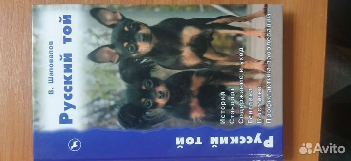Книга(русский той)