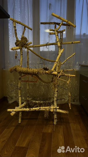 Для попугаев или других птиц