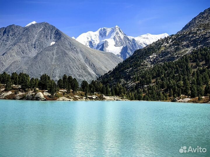 Индивидуальные туры и экскурсии по Алтаю