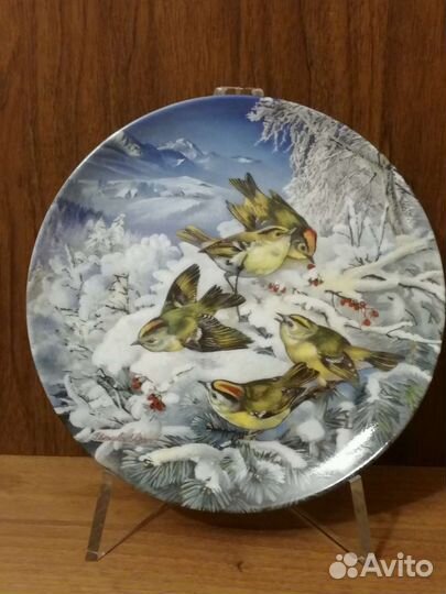 Тарелки урсулы банд. птицы зимой