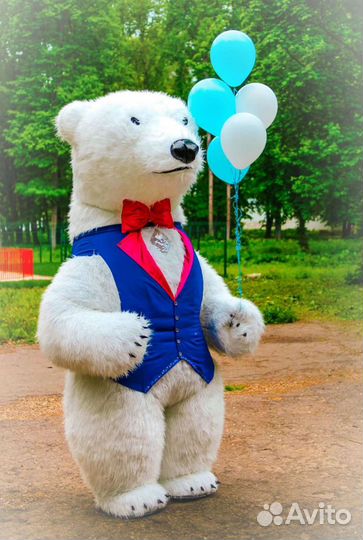 Праздники мероприятия, экспресс поздравление мишка