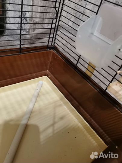 Клетка для попугая бу