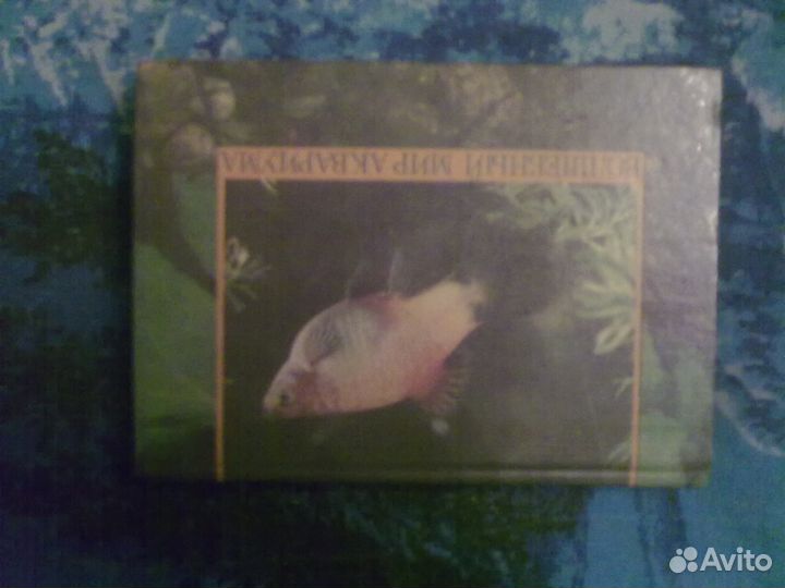 Волшебный мир аквариума