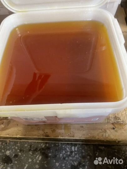 Алтайский луговой мед оптом