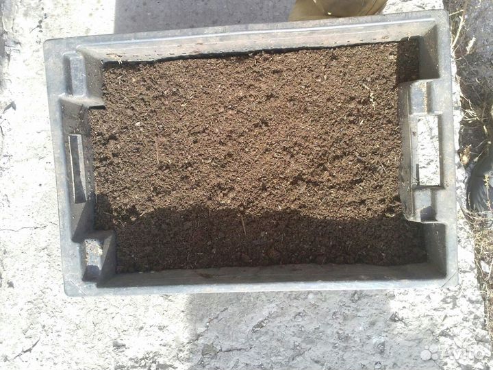 Биогумус (вермикомпост)