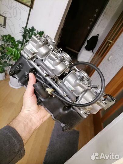 Корбы хонда ф3 98г