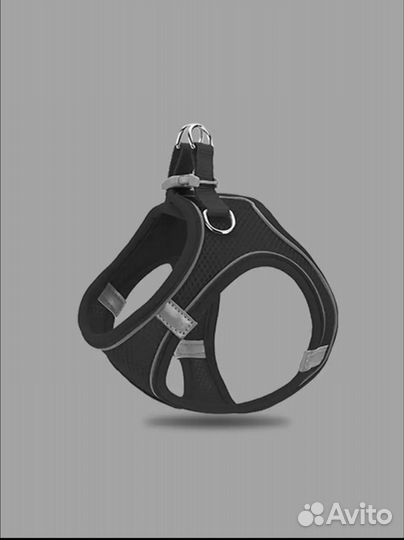 Шлейка для маленькой собаки или кошки