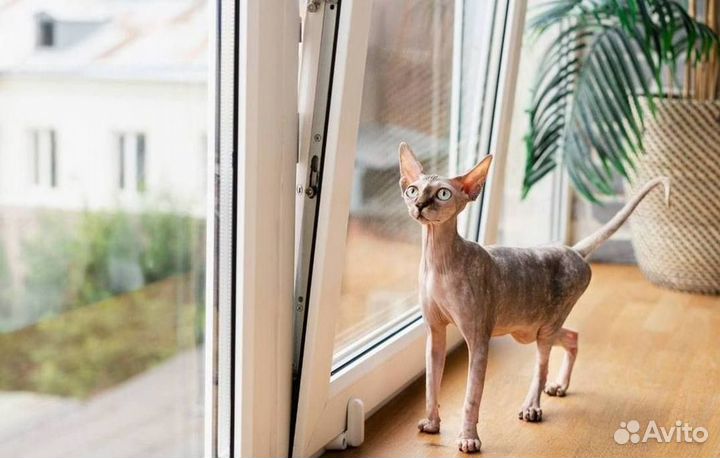 Пластиковый балкон с установкой