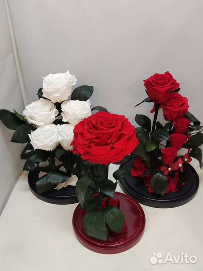 Роза в колбе оптом