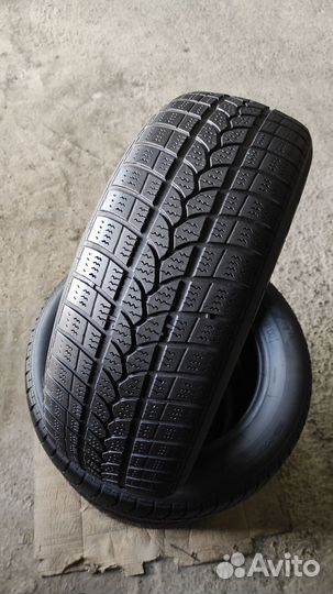 Tigar Winter 1 215/60 R16