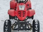 Снегоход-квадроцикл Tiger Universal 150