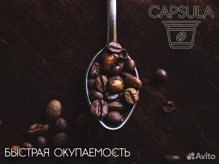 Capsula: лучший выбор для вашего бизнеса