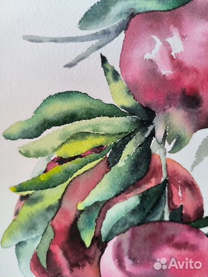 Картина акварелью гранаты на ветке