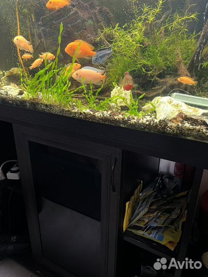 Аквариум с тумбой бу