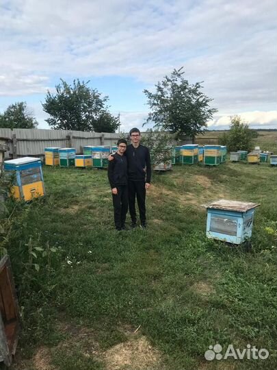 Мед натуральный разнотравье