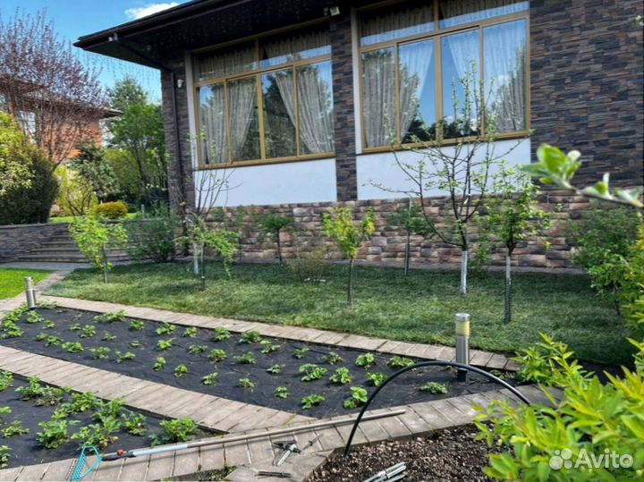 Красивый рулонный газон от профессионалов