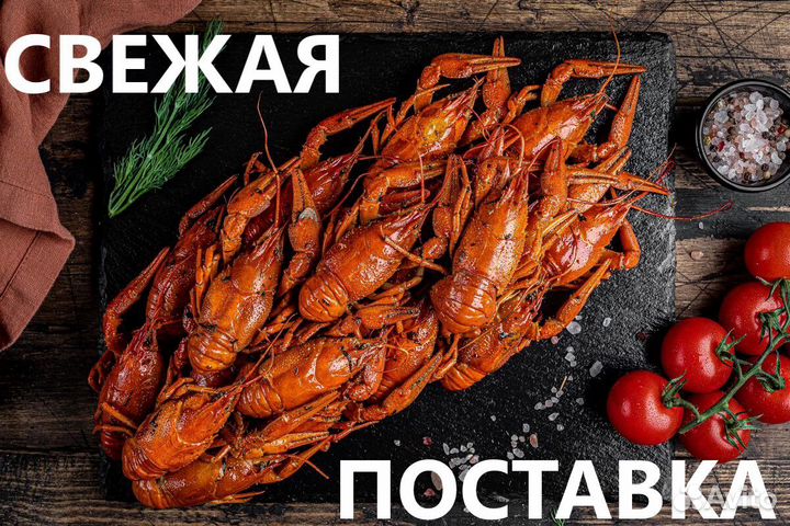 Раки Живые, Вареные