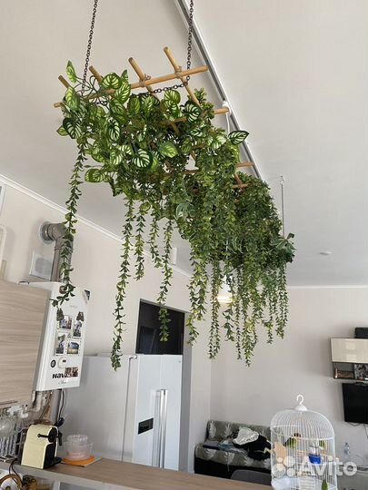 Шефлера панно деккоративное подвесное