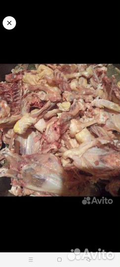 Куриные кости